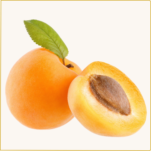 Drupe